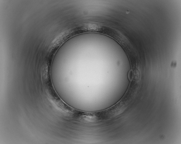 X0000113350552200909291058