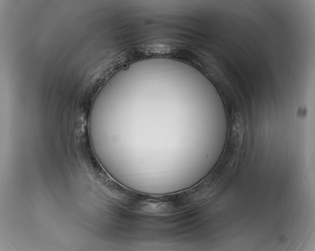 X0000113350555200909291058