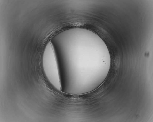 X0000113350556200909291058