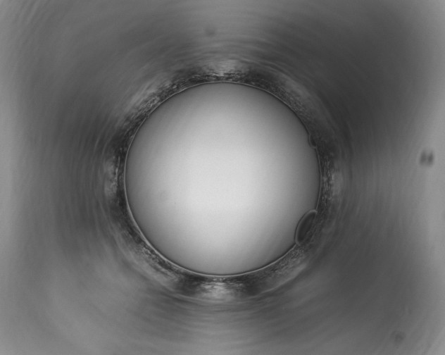 X0000113350558200909291058