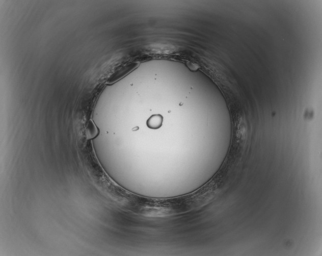 X0000113350559200909291058