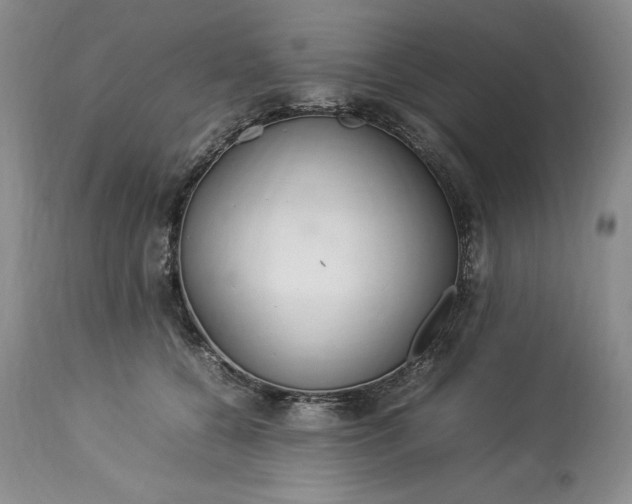 X0000113350560200909291058