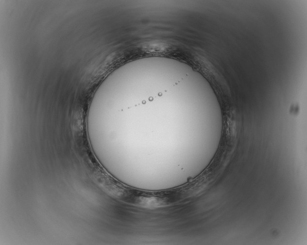 X0000113350561200909291058