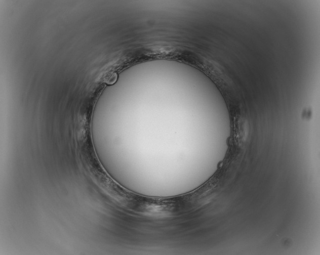 X0000113350563200909291058