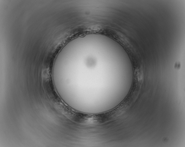 X0000113350564200909291058