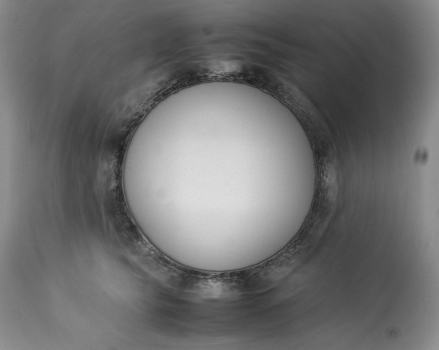 X0000113350565200909291058