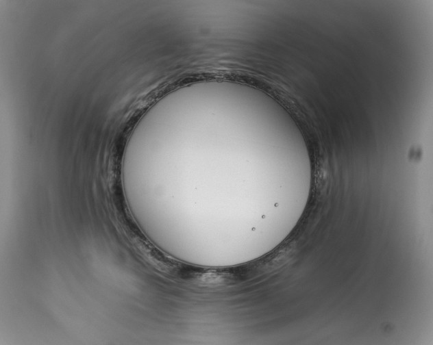 X0000113350566200909291058