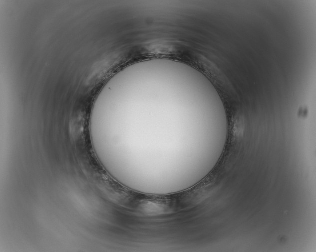 X0000113350567200909291058