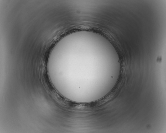 X0000113350568200909291058