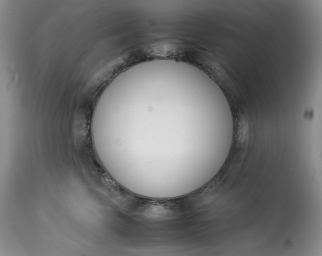 X0000113350569200909291058