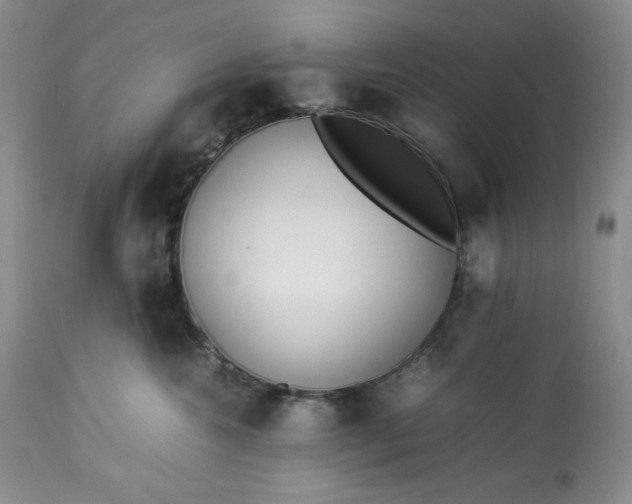 X0000113350572200909291058