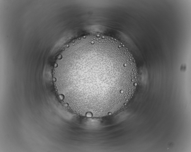 X0000113350573200909291058