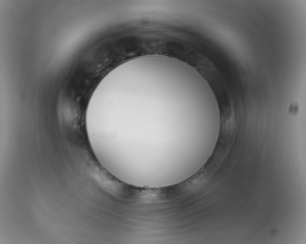 X0000113350574200909291058