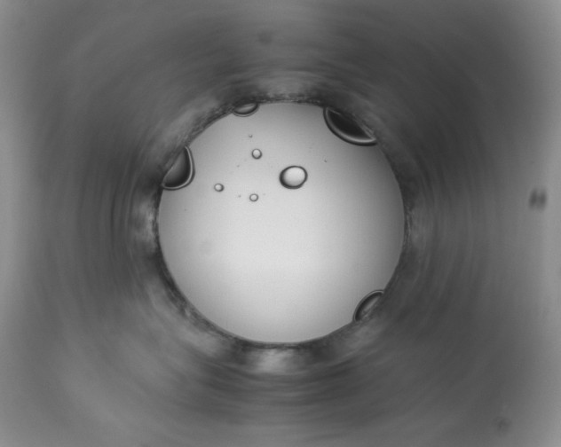 X0000113350575200909291058