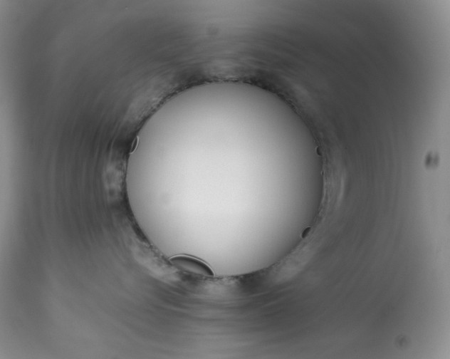 X0000113350576200909291058