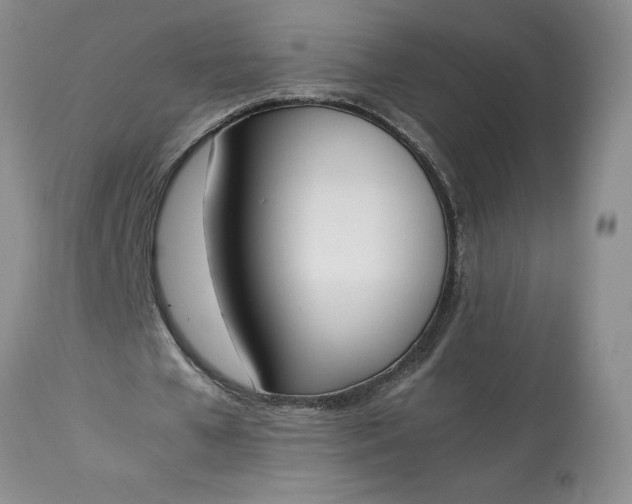 X0000113350577200909291057