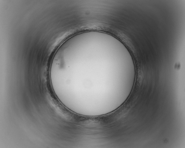 X0000113350578200909291057