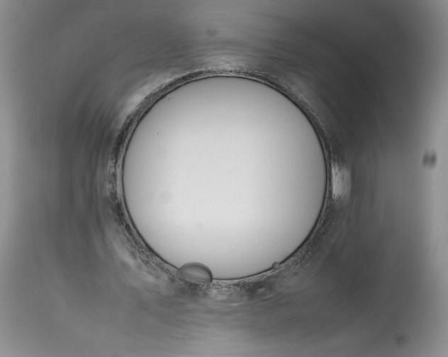 X0000113350579200909291057