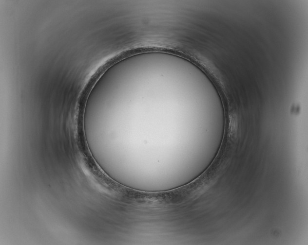 X0000113350580200909291057