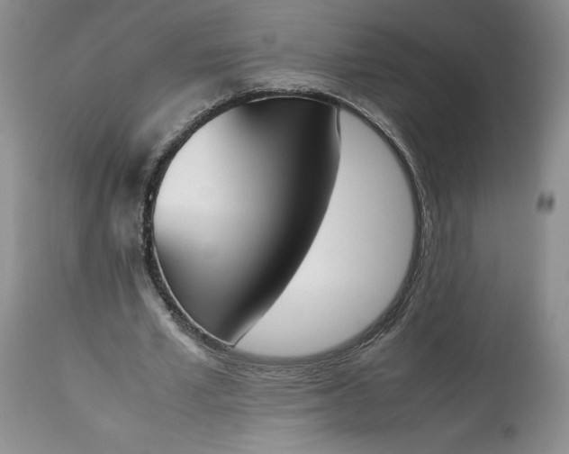 X0000113350581200909291057