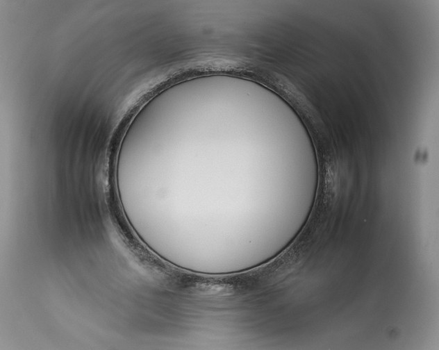 X0000113350582200909291057