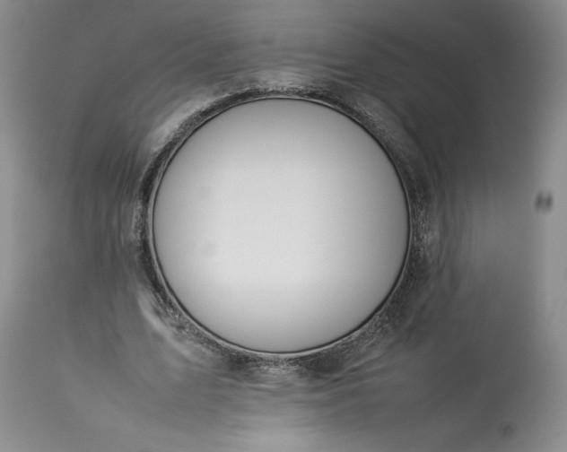 X0000113350583200909291057