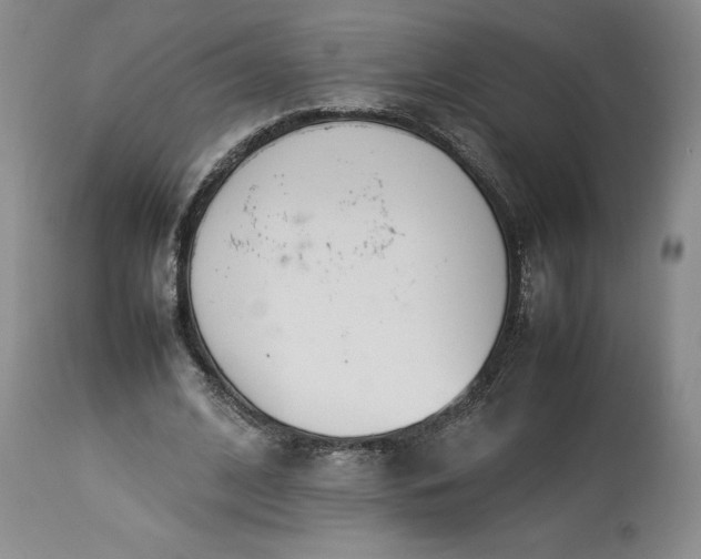 X0000113350584200909291057