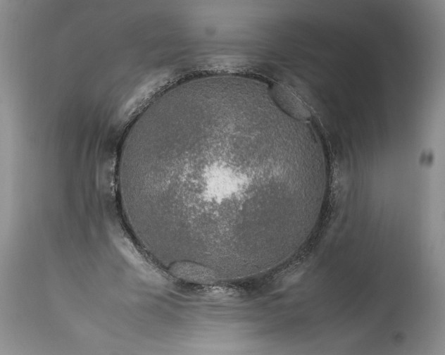 X0000113350585200909291057