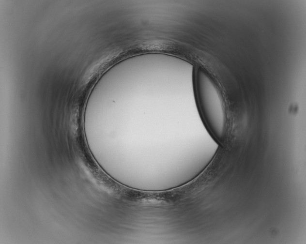 X0000113350586200909291057