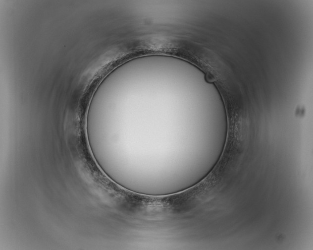 X0000113350587200909291057