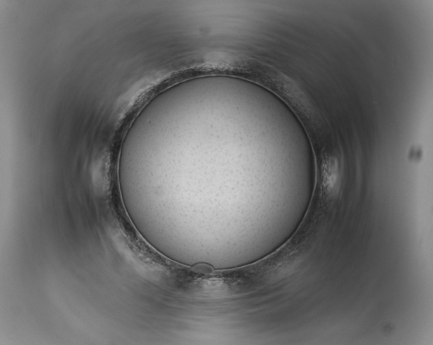 X0000113350588200909291057