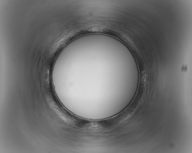 X0000113350589200909291057