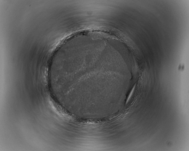 X0000113350592200909291057