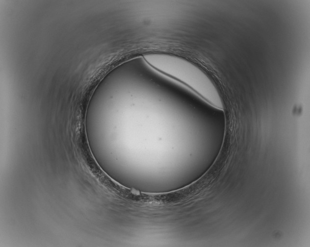 X0000113350593200909291057