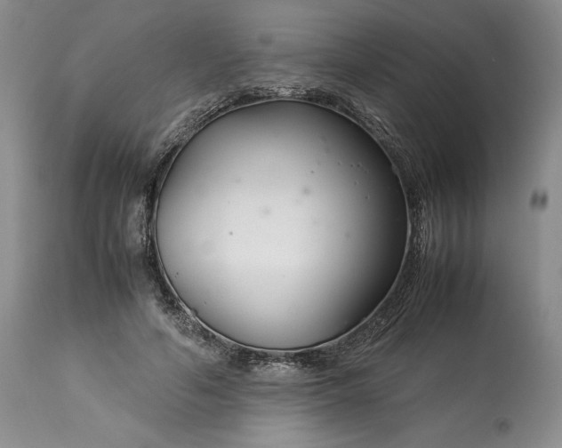 X0000113350594200909291057