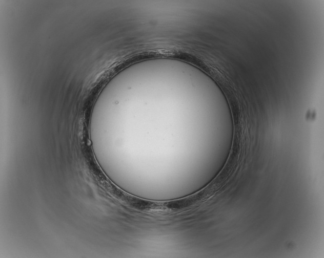 X0000113350595200909291057