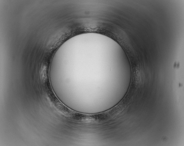 X0000113350598200909291057