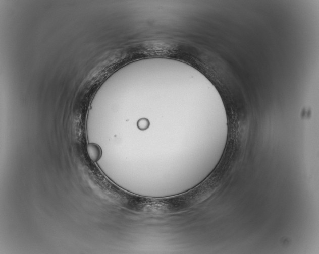 X0000113350599200909291057