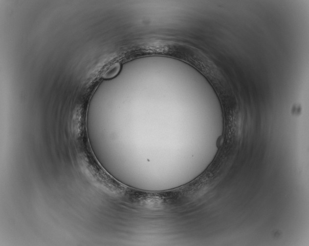 X0000113350600200909291057