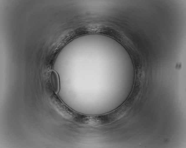 X0000113350601200909291057