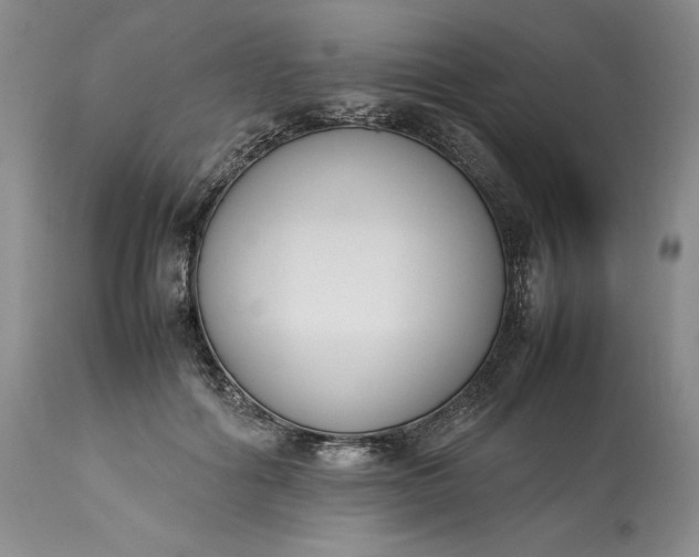 X0000113350602200909291057