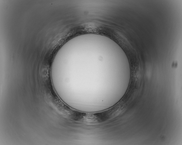 X0000113350603200909291057