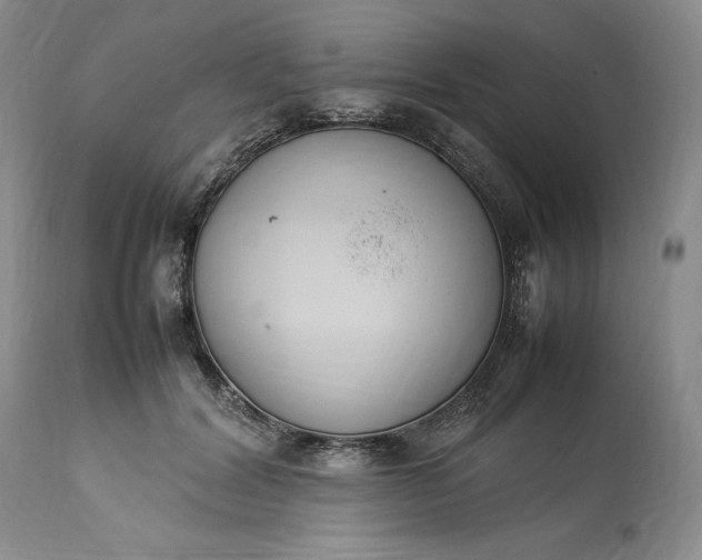 X0000113350604200909291057