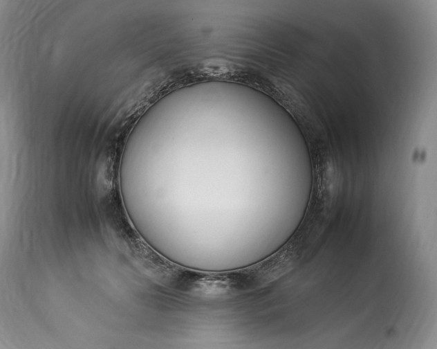 X0000113350606200909291057