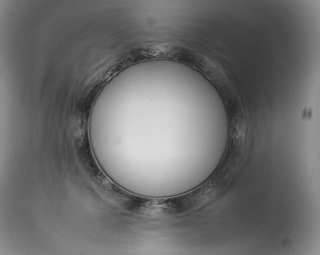 X0000113350607200909291057