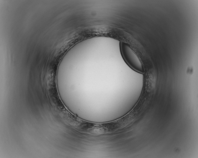 X0000113350608200909291057