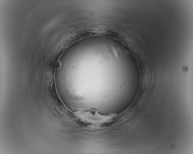 X0000113350609200909291056