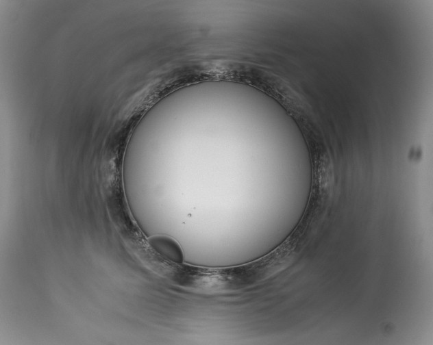 X0000113350611200909291056