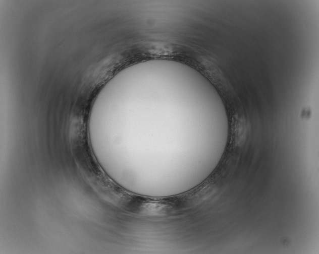 X0000113350614200909291056