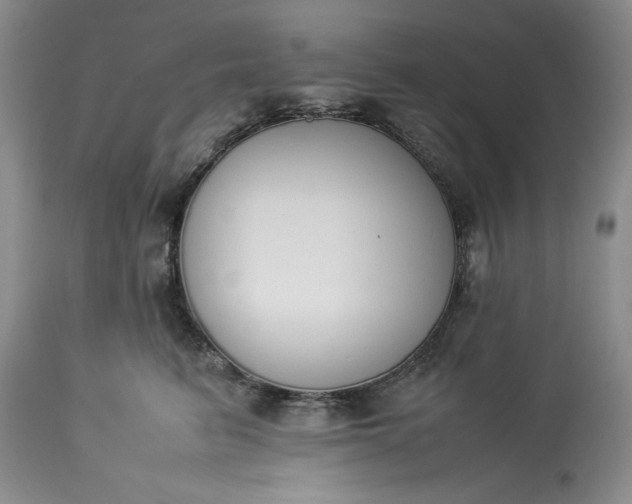 X0000113350615200909291056